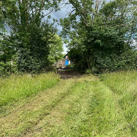 Paisible Et Chaleureux