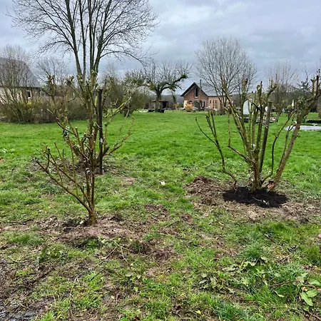 Paisible Et Chaleureux Auquainville